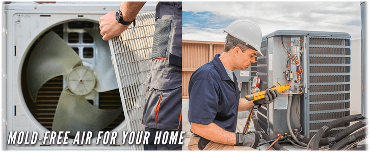 HVAC Mold Removal Flower Mound TX